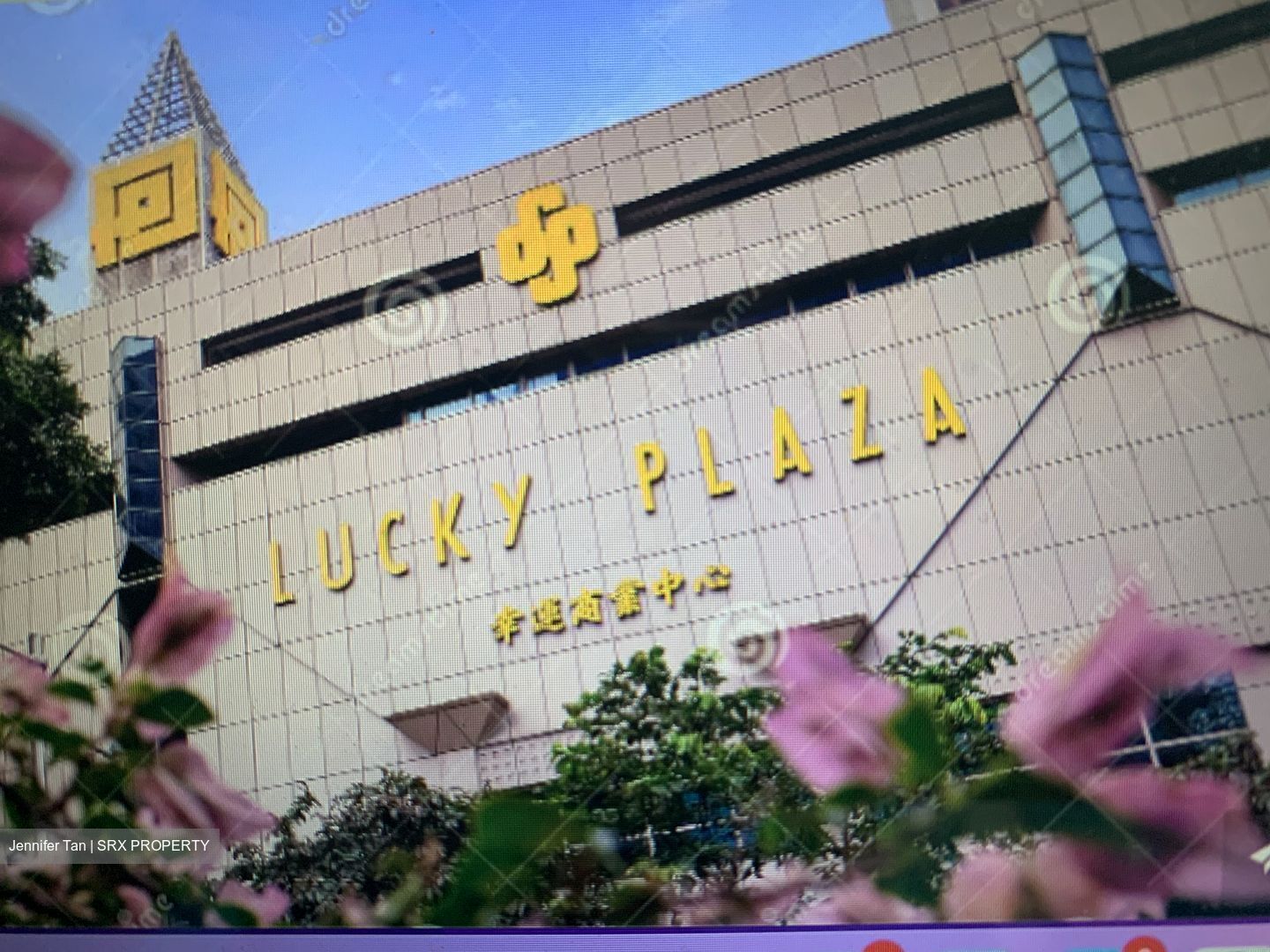 Lucky Plaza (D9), Retail #393817391